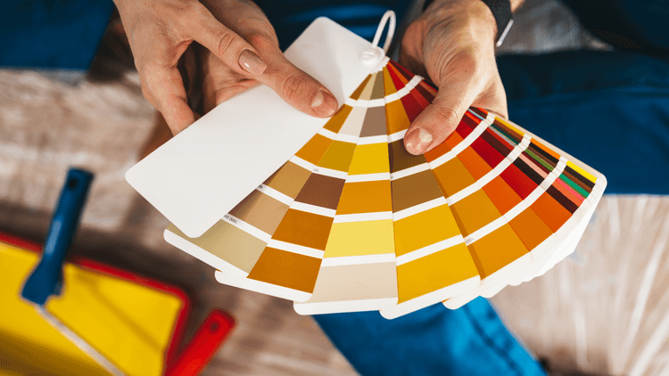Escolha as cores para pintar sua casa