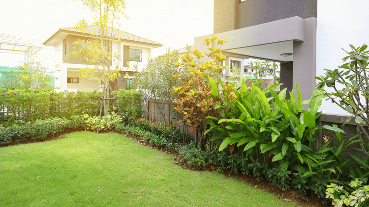 Ideias para montar um jardim na sua casa