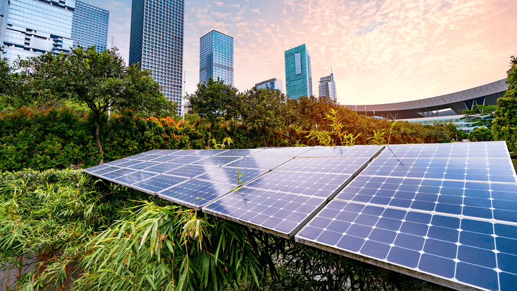 Reforma Ecológica: Como Tornar Sua Casa Mais Sustentável