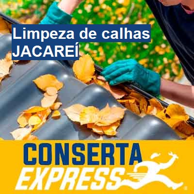 Limpeza de calhas-em-jacareí