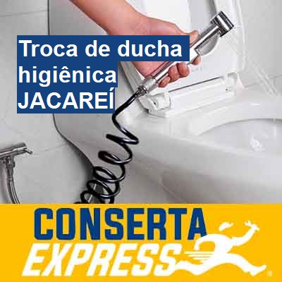 Troca de ducha higiênica-em-jacareí