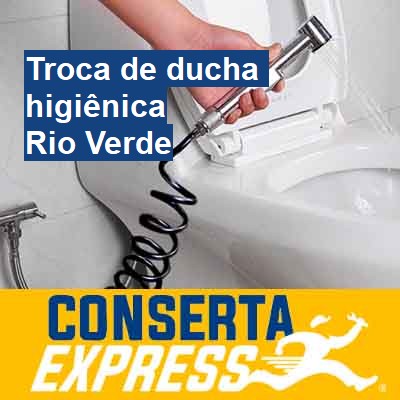 Troca de ducha higiênica-em-rio-verde