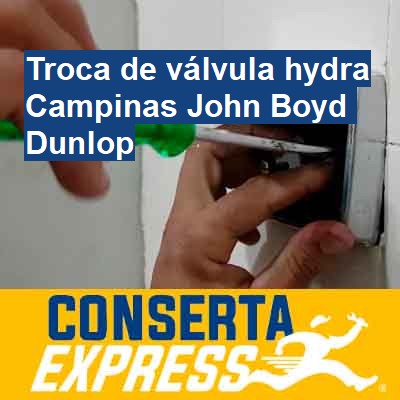 Troca de válvula hydra-em-campinas-john-boyd-dunlop