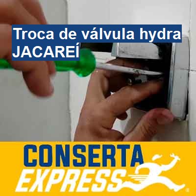 Troca de válvula hydra-em-jacareí