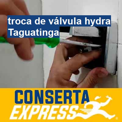 Troca de válvula hydra-em-taguatinga